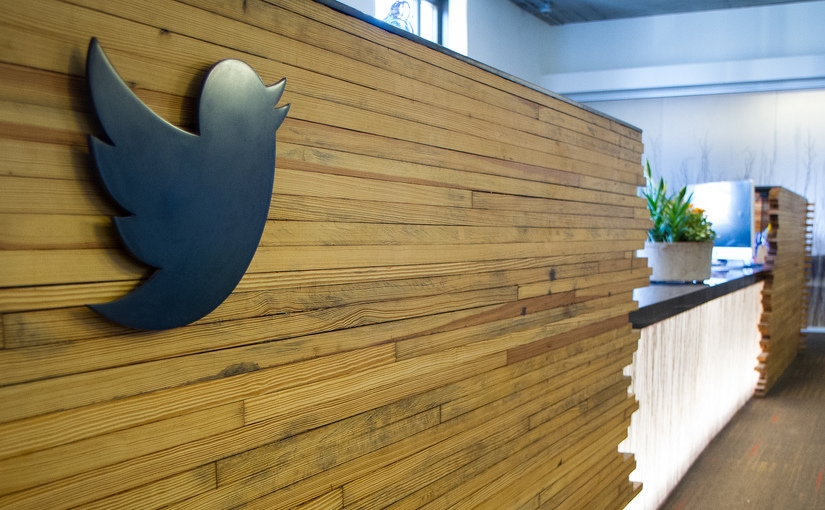 twitter bird
