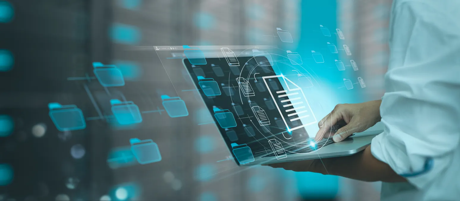 Web accessibility and SEO
